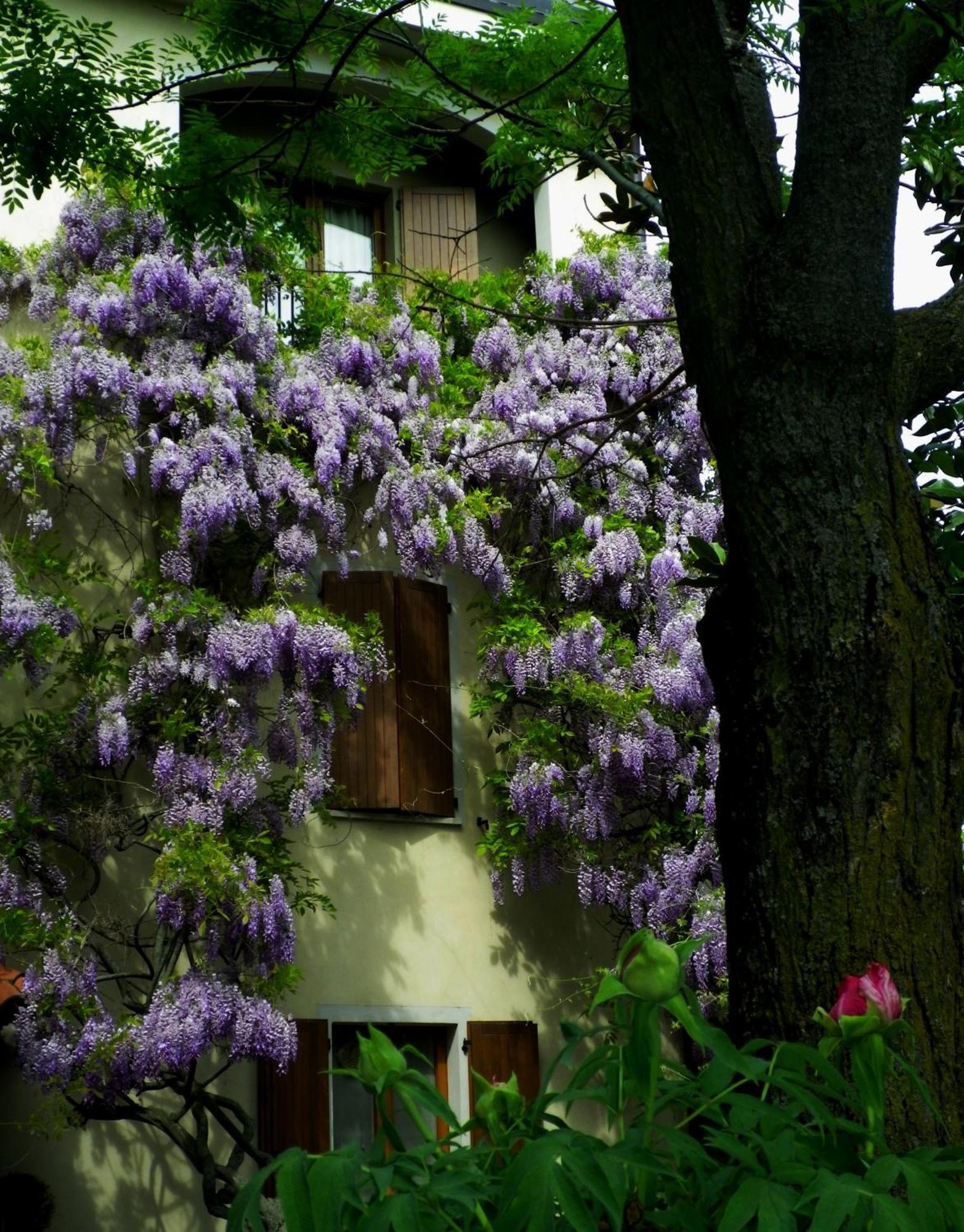 Le Querce Hotel Salsomaggiore Terme Luaran gambar