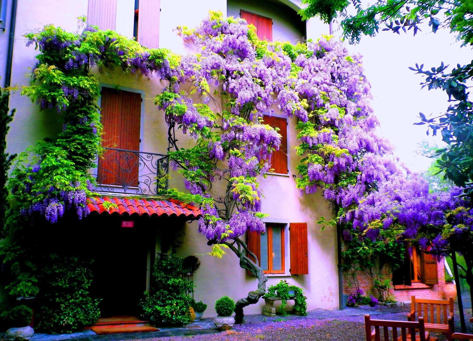 Le Querce Hotel Salsomaggiore Terme Luaran gambar